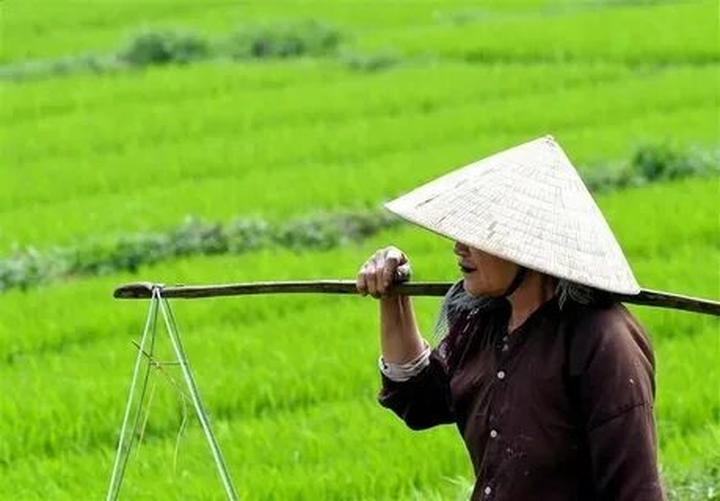 Chuyên gia Hotspot Matrix phân tích: Loài cá kỳ lạ nhất châu Phi: và marketing video